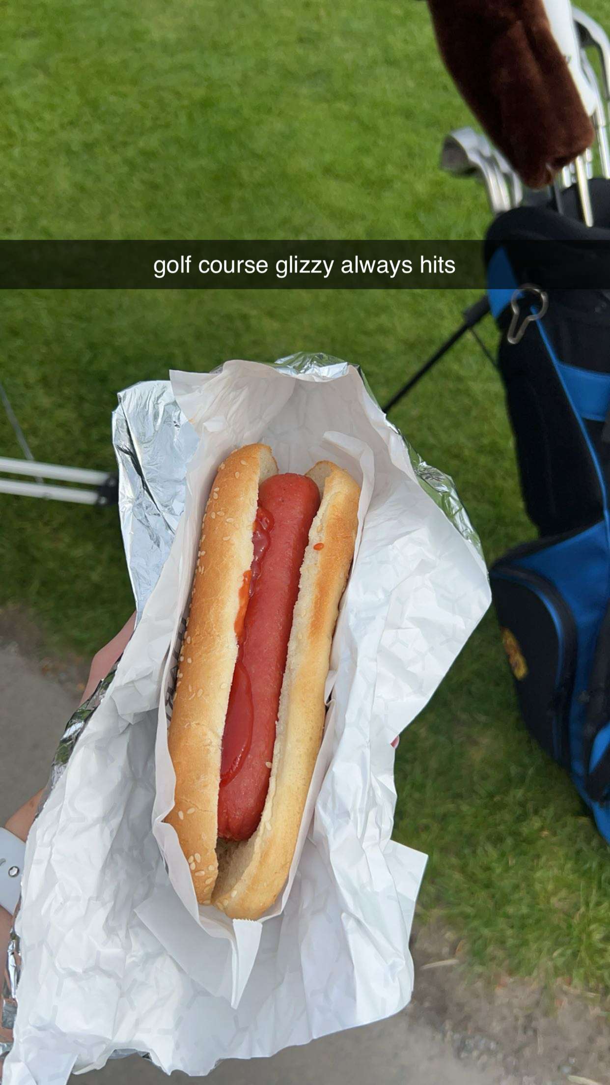 meelahrobbins snapchat image archive image