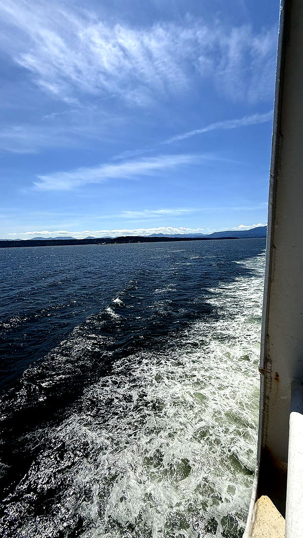 meelahrobbins image ~ Altpins