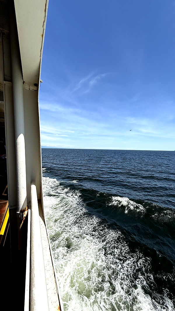 meelahrobbins image ~ Altpins