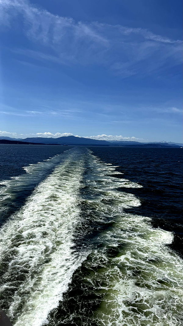 meelahrobbins image ~ Altpins