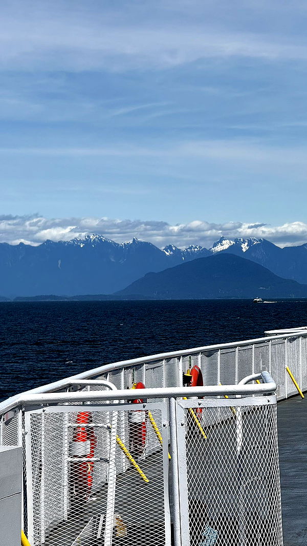 meelahrobbins image ~ Altpins