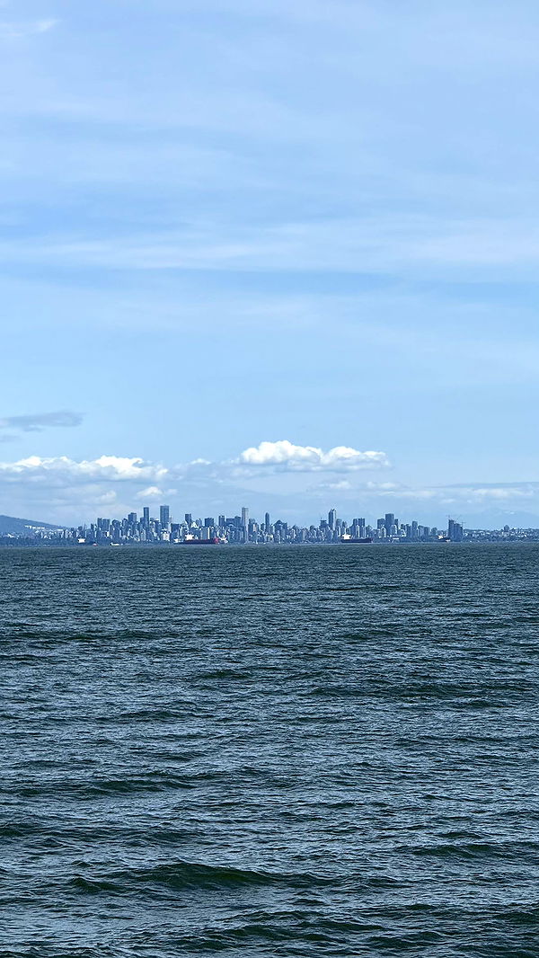 meelahrobbins image ~ Altpins