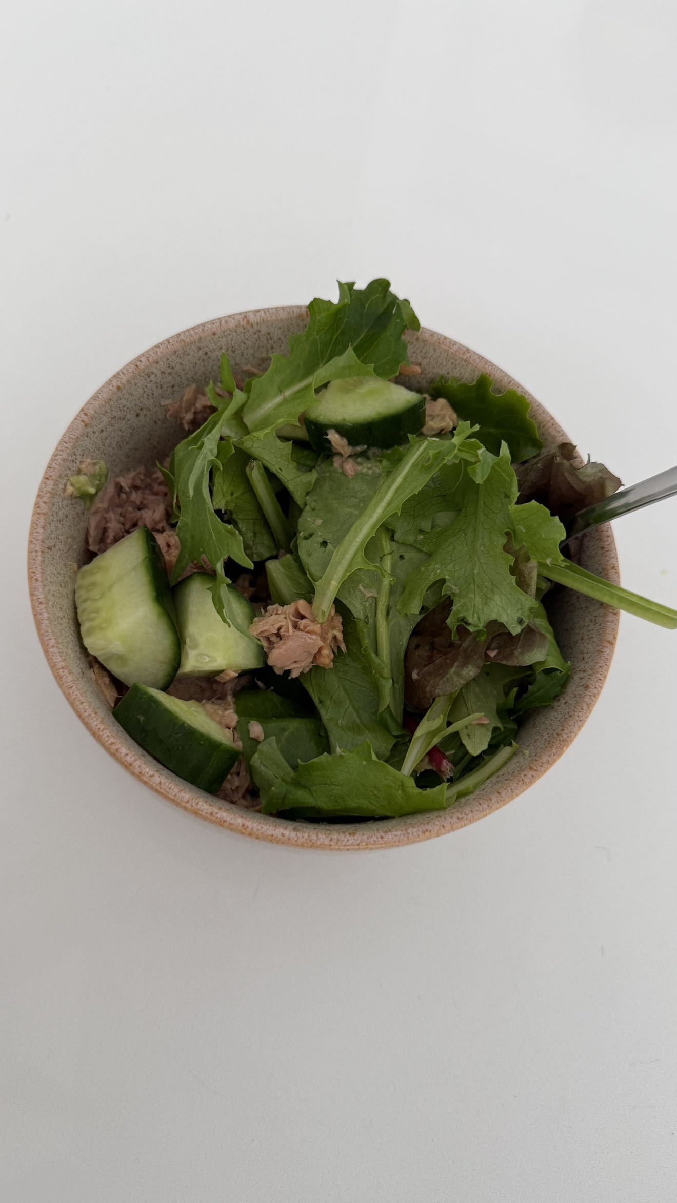 meelahrobbins snapchat image archive image