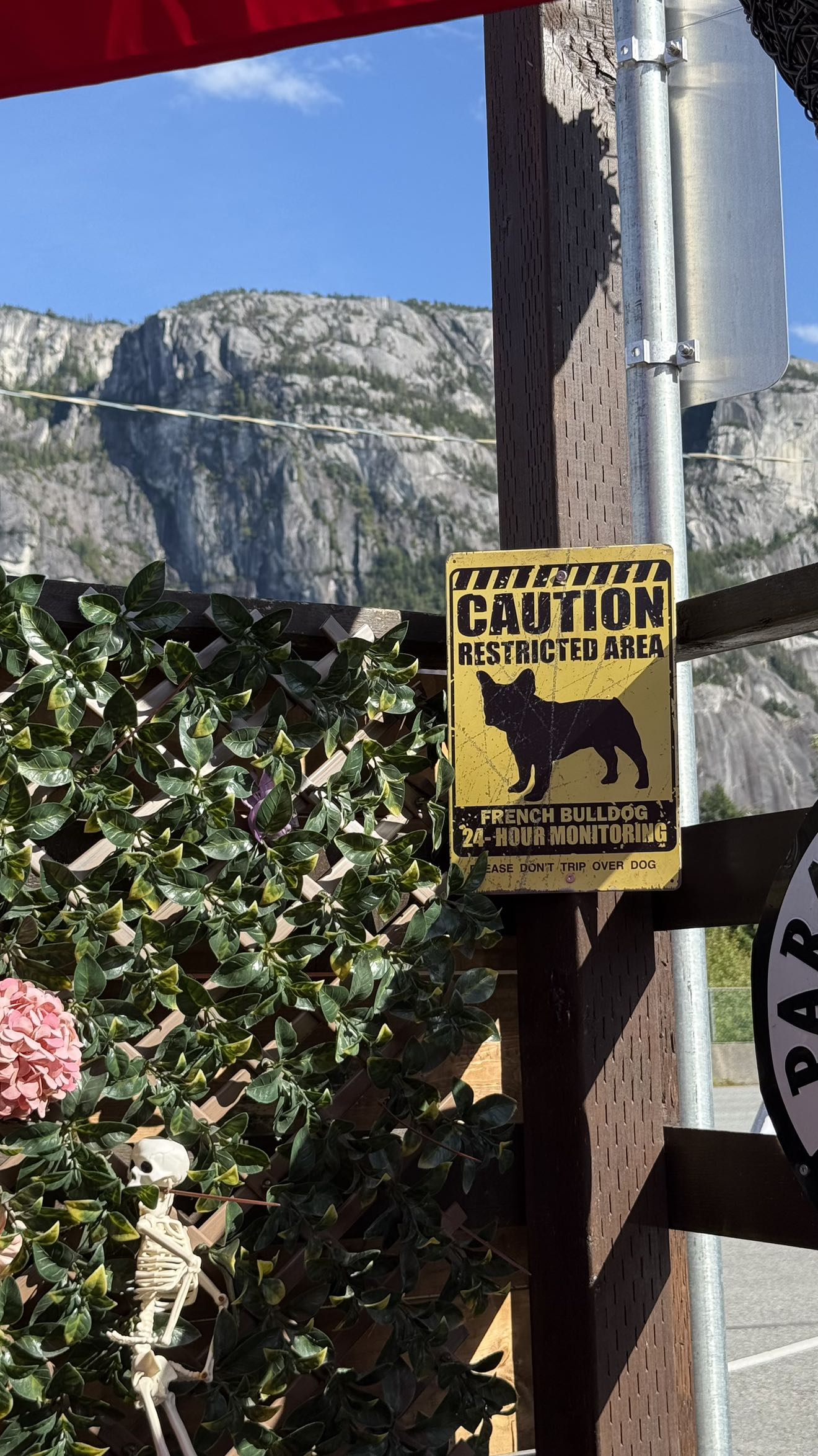 meelahrobbins snapchat image archive image