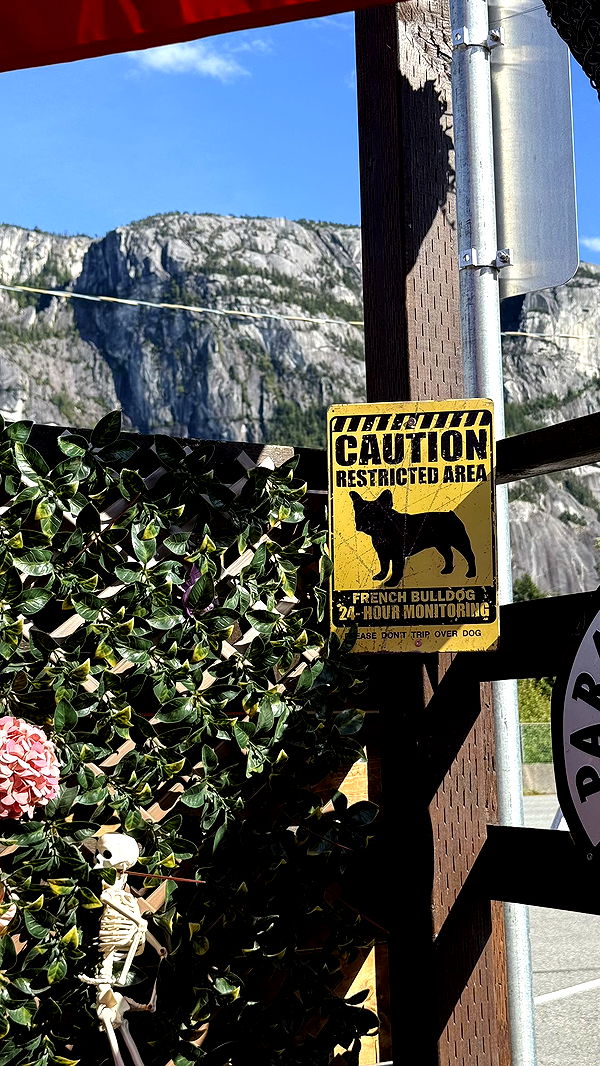 meelahrobbins image ~ Altpins