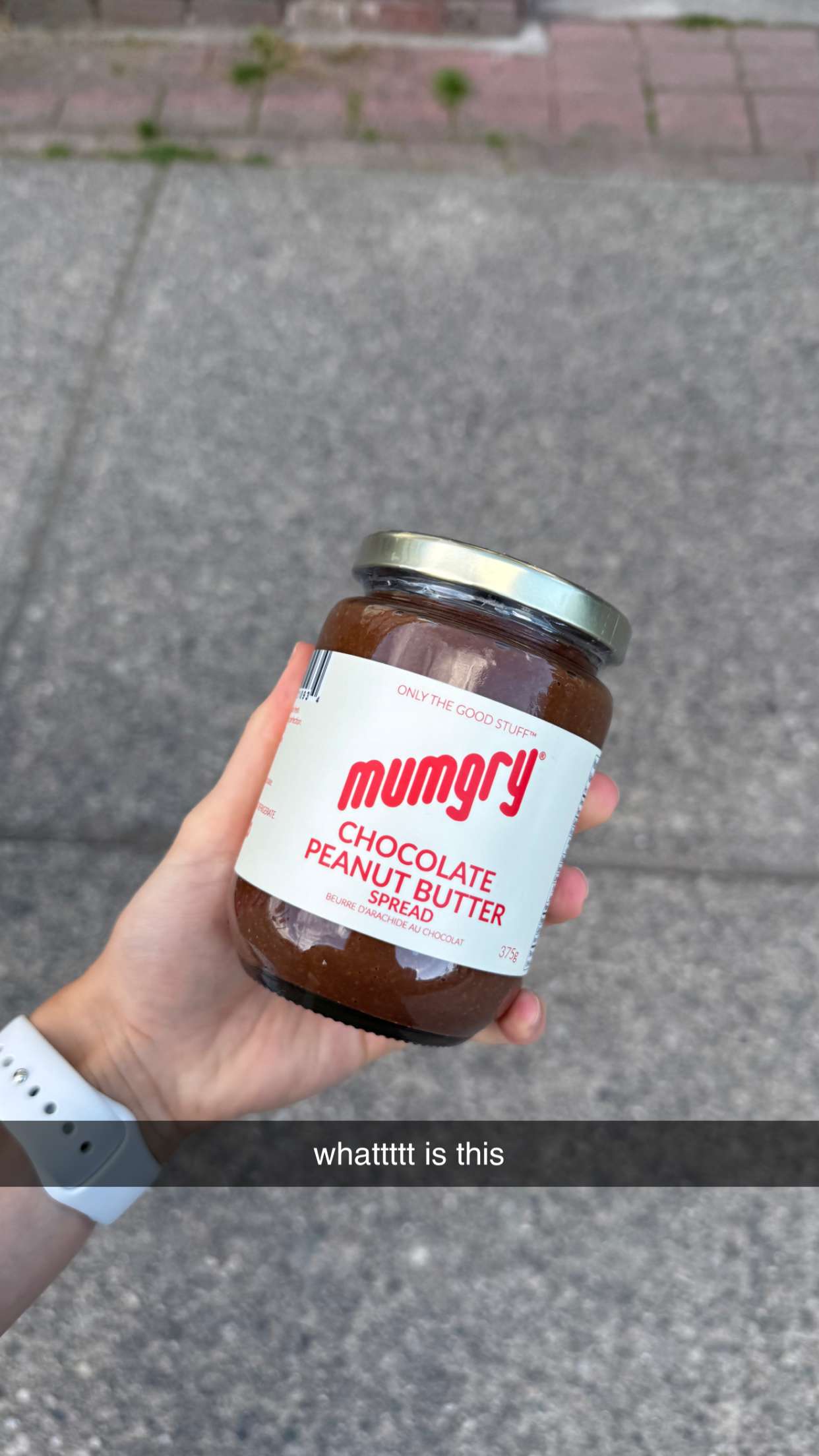 meelahrobbins snapchat image archive image