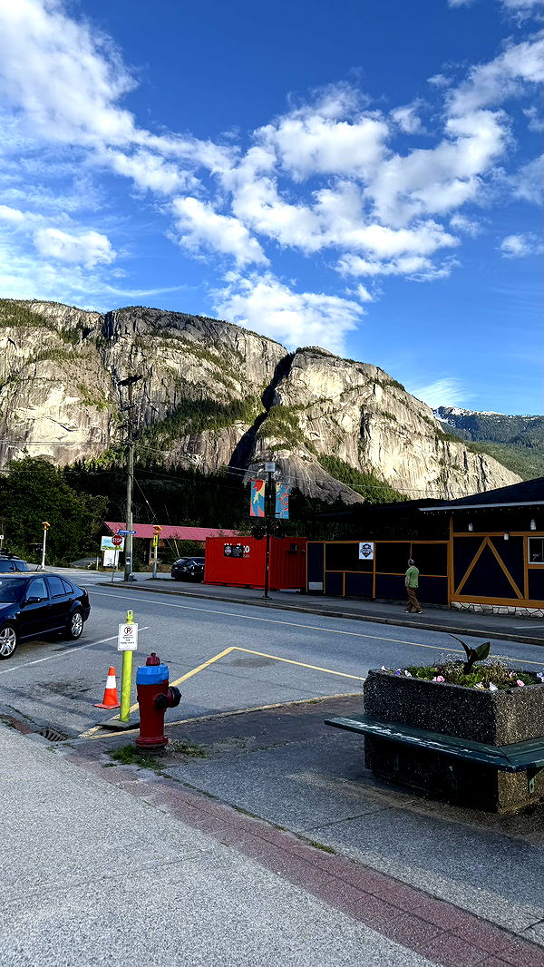 meelahrobbins image ~ Altpins