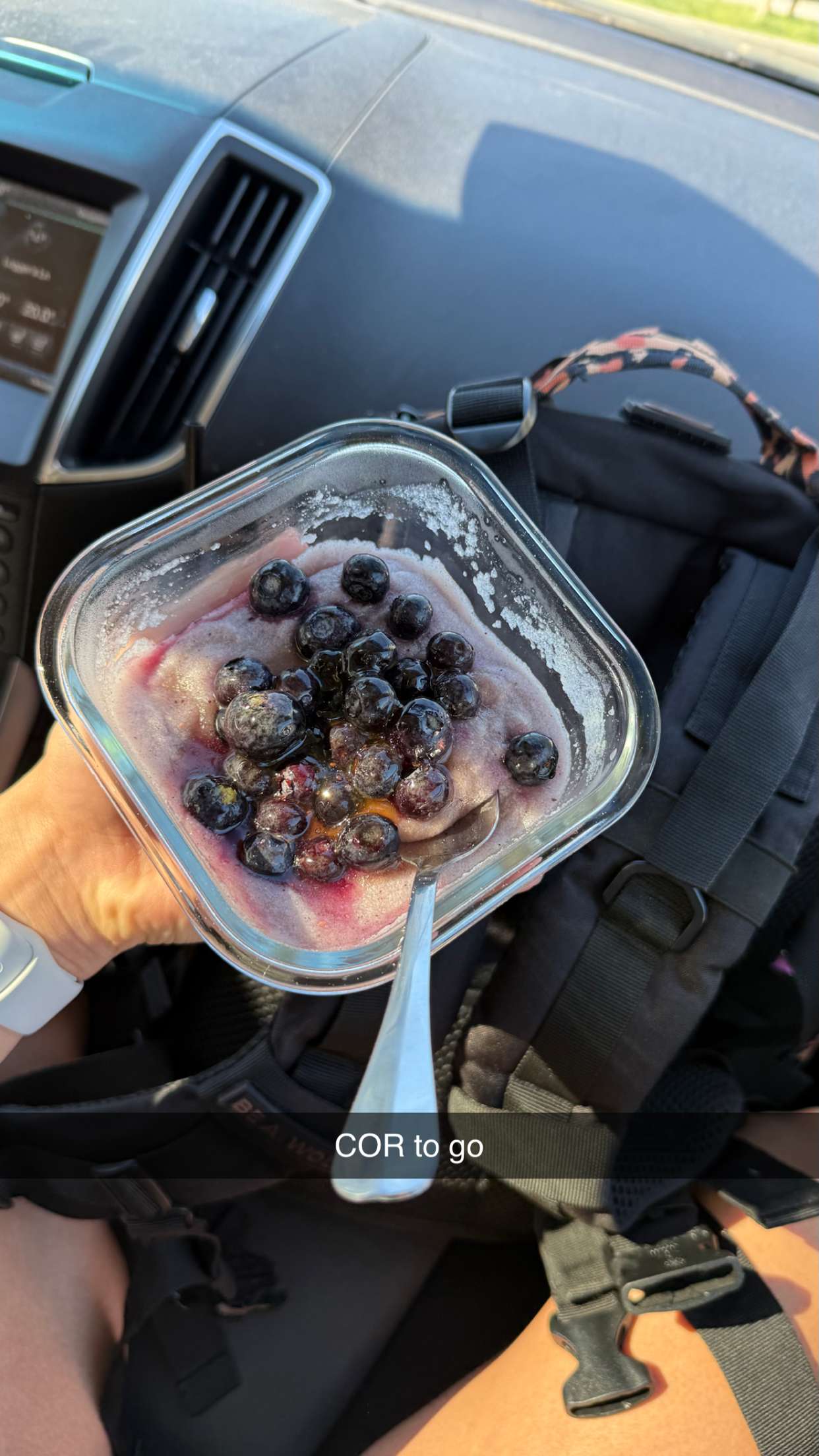 meelahrobbins snapchat image archive image