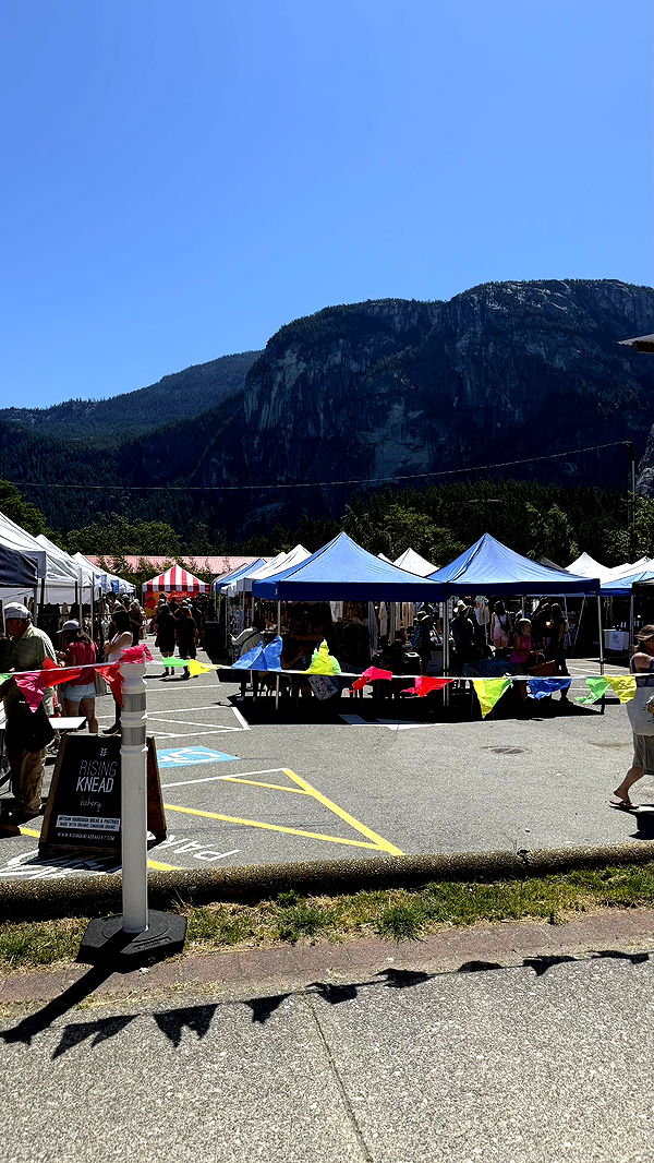 meelahrobbins image ~ Altpins