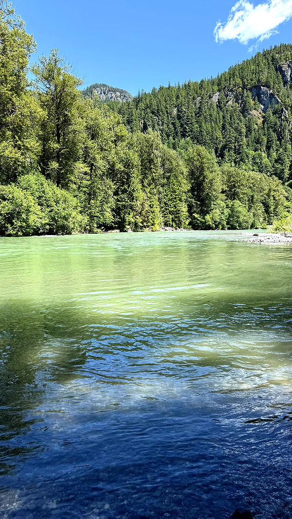 meelahrobbins image ~ Altpins