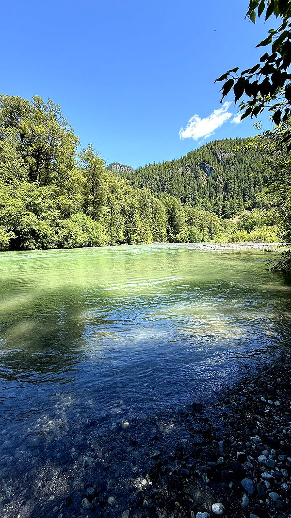 meelahrobbins image ~ Altpins