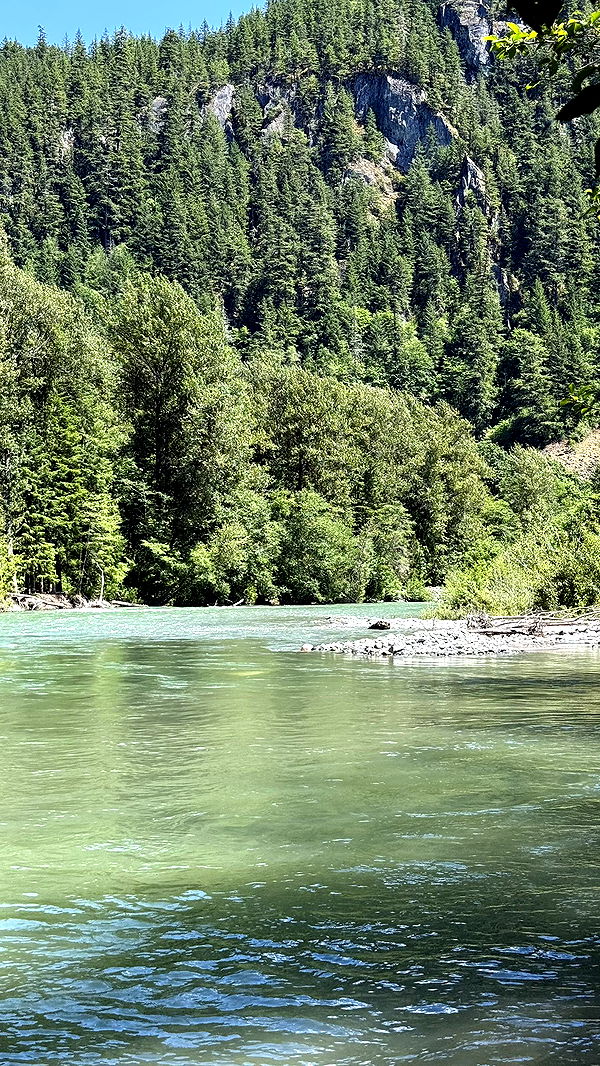 meelahrobbins image ~ Altpins