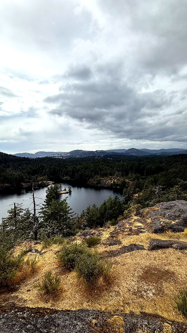 meelahrobbins image ~ Altpins