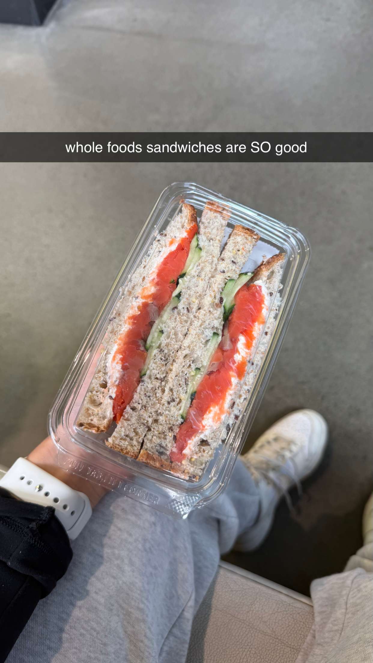 meelahrobbins snapchat image archive image