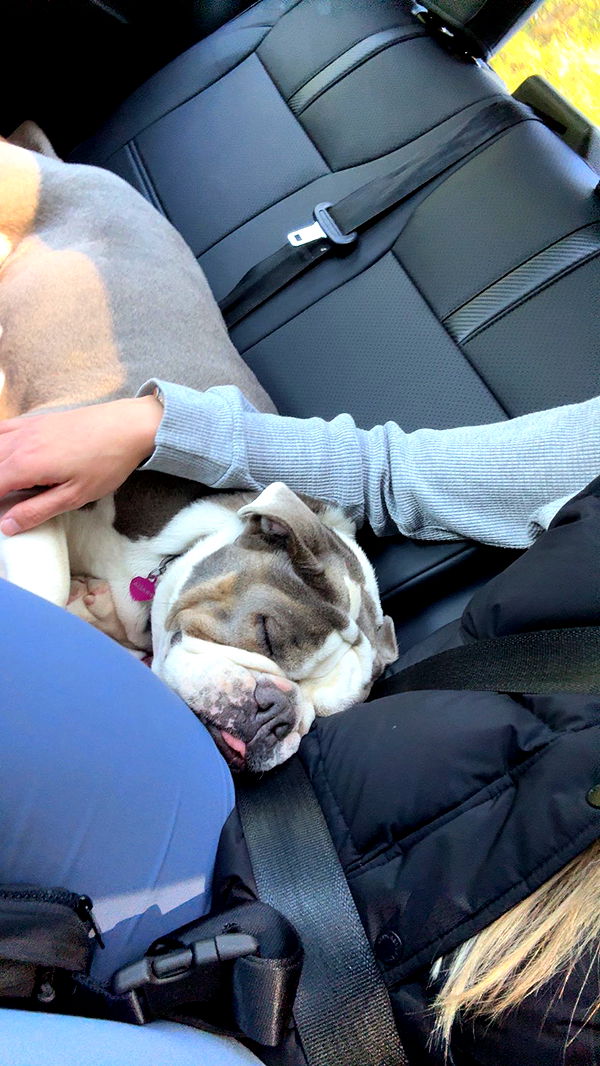 meelahrobbins image ~ Altpins