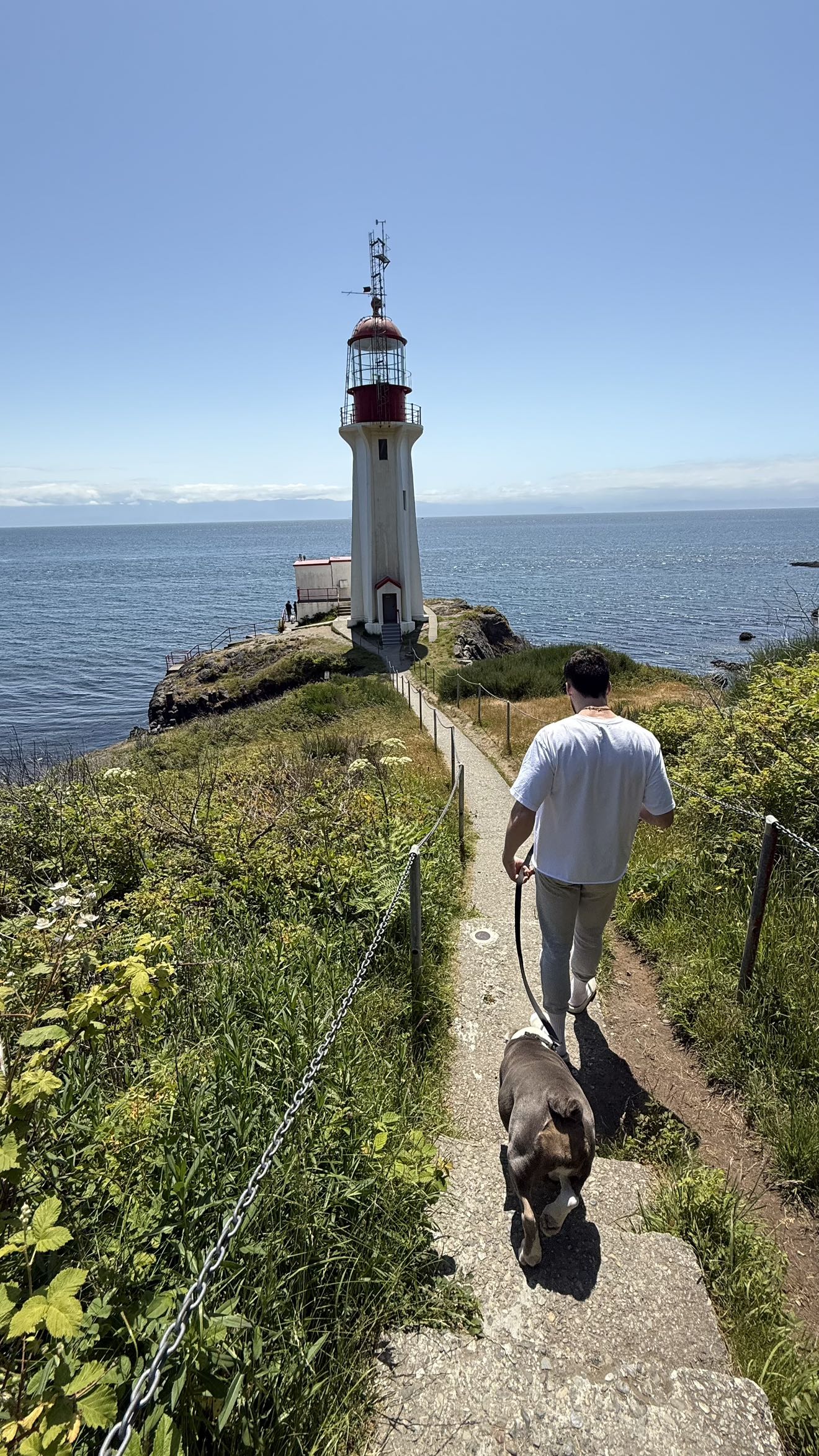 meelahrobbins snapchat image archive image