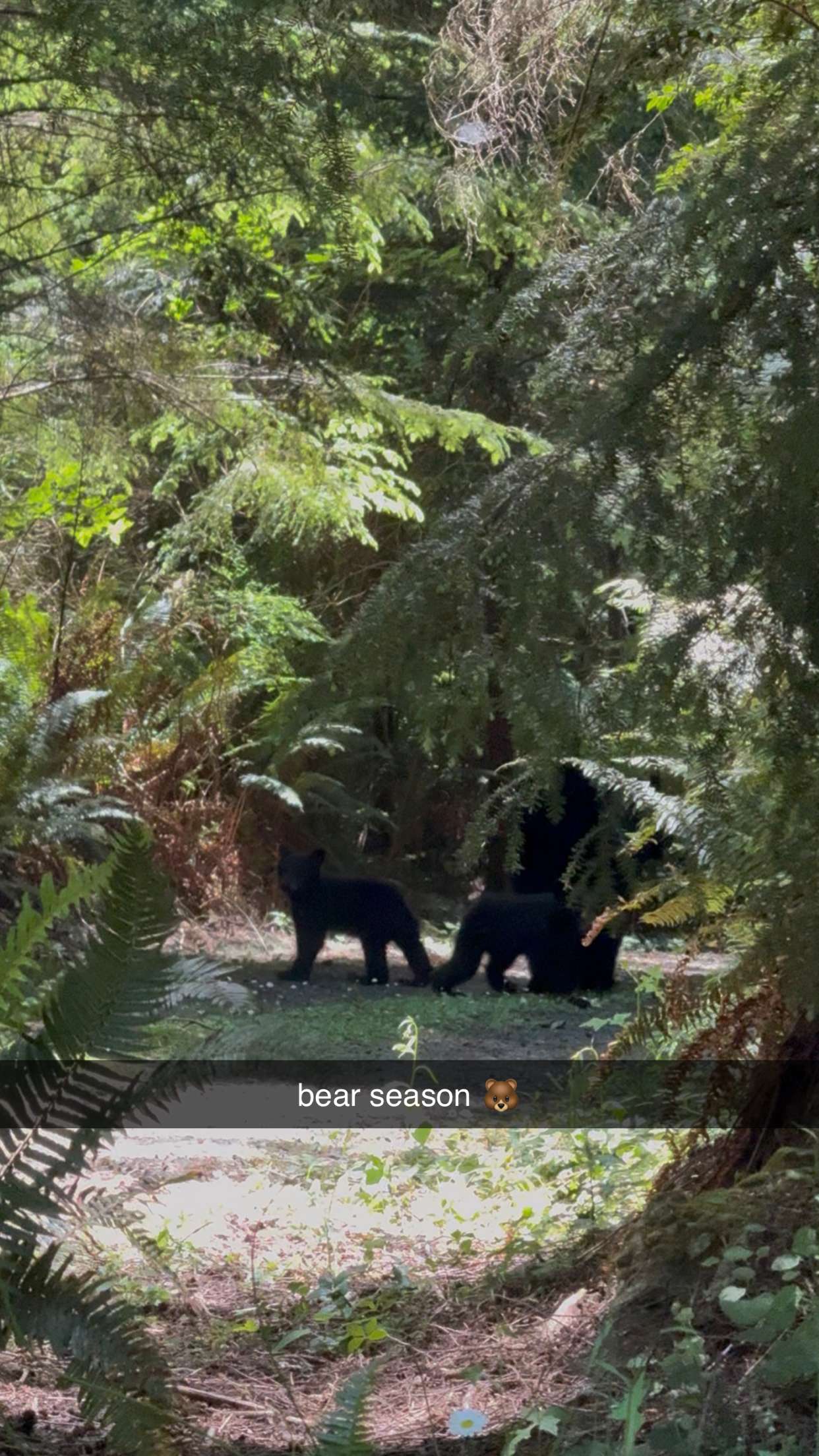 meelahrobbins snapchat image archive image