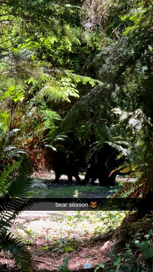 meelahrobbins image ~ Altpins