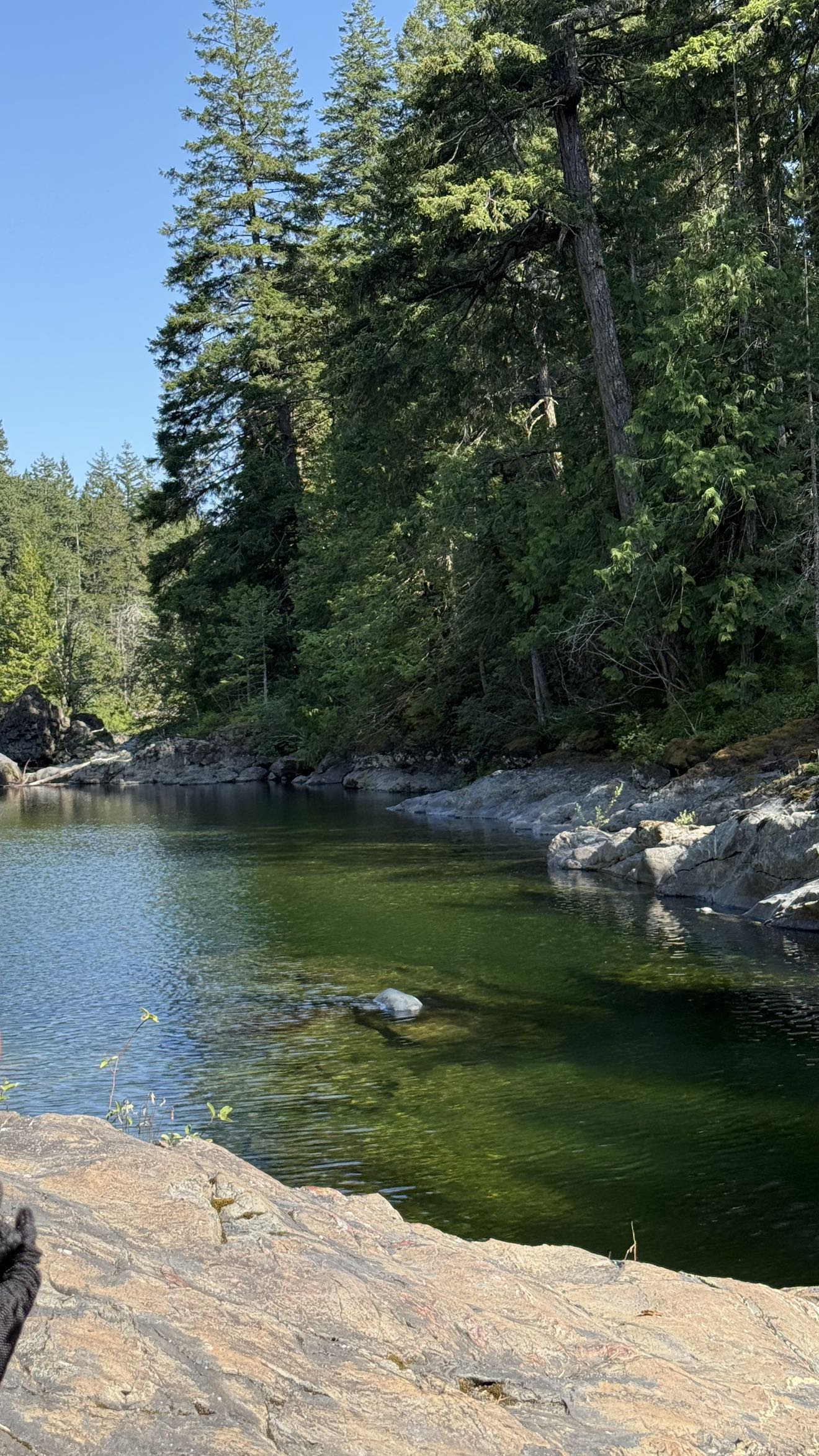 meelahrobbins snapchat image archive image