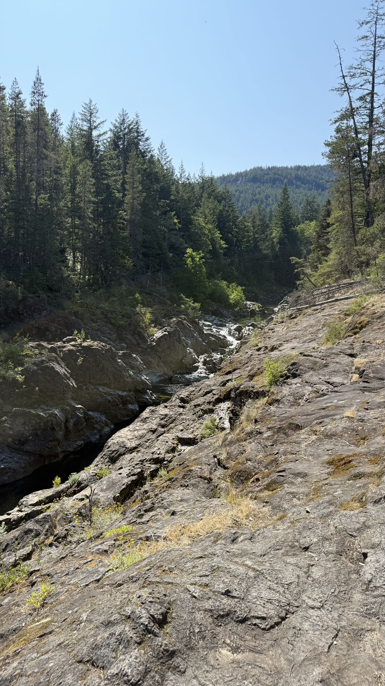 meelahrobbins snapchat image archive image