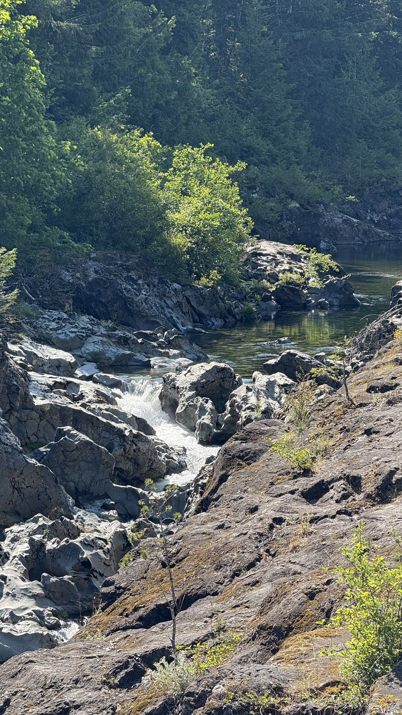 meelahrobbins snapchat image archive image