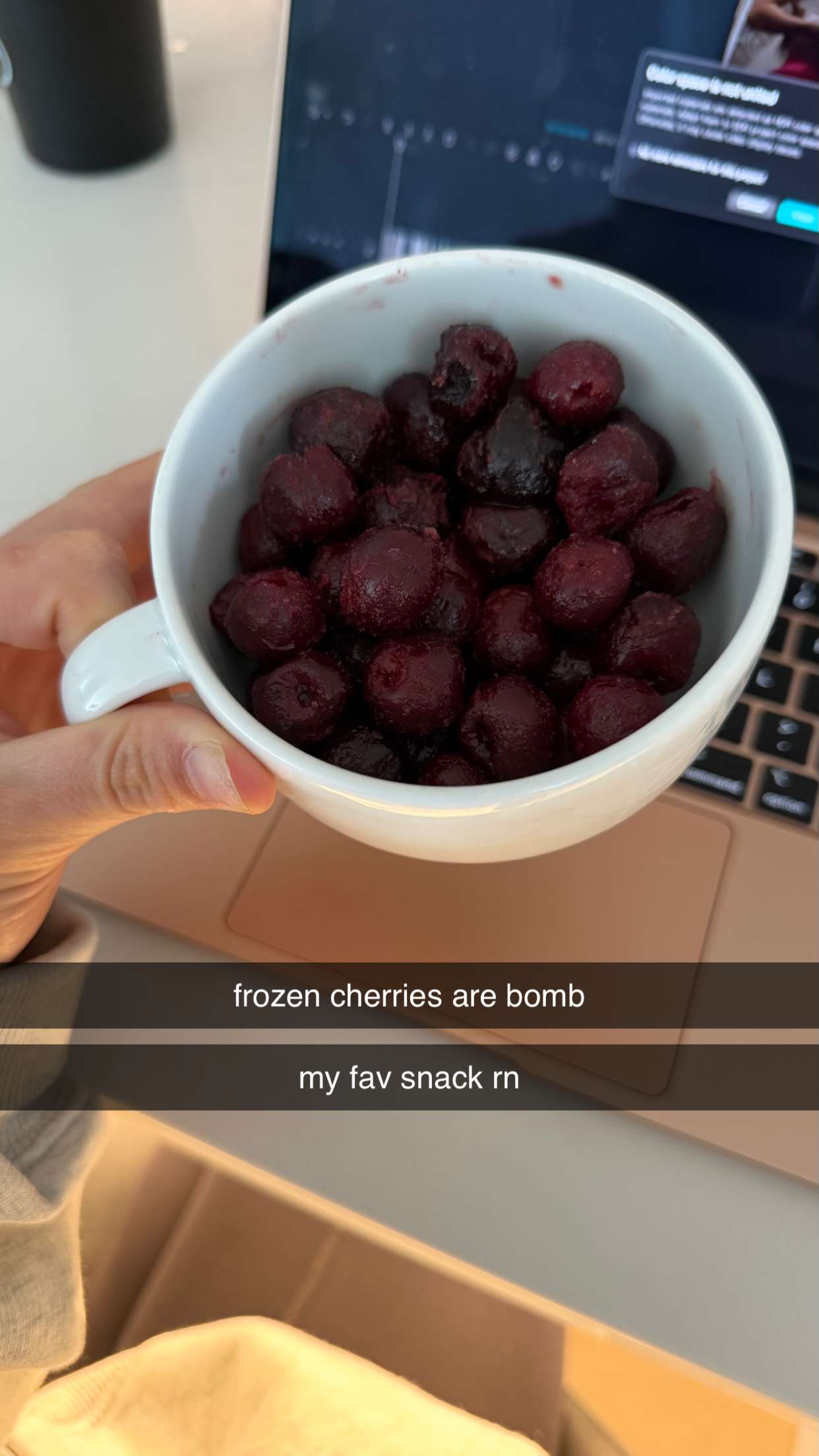 meelahrobbins snapchat image archive image