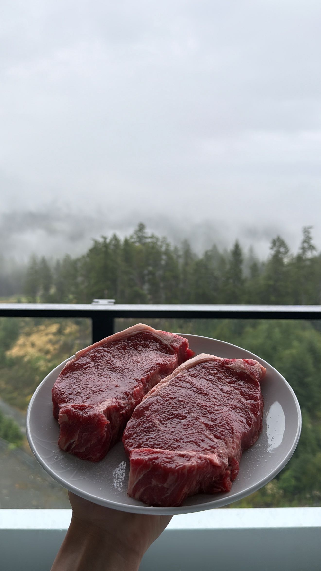 meelahrobbins snapchat image archive image