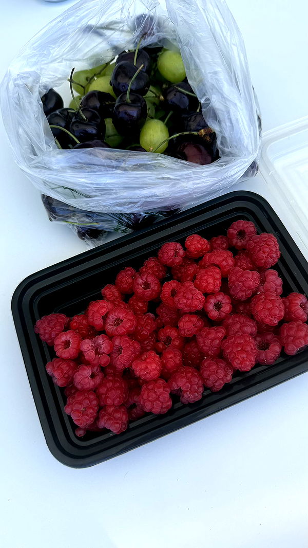 meelahrobbins image ~ Altpins