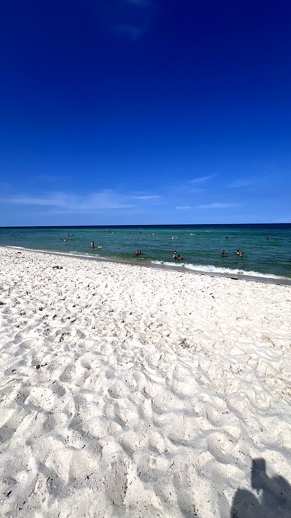 meelahrobbins image ~ Altpins