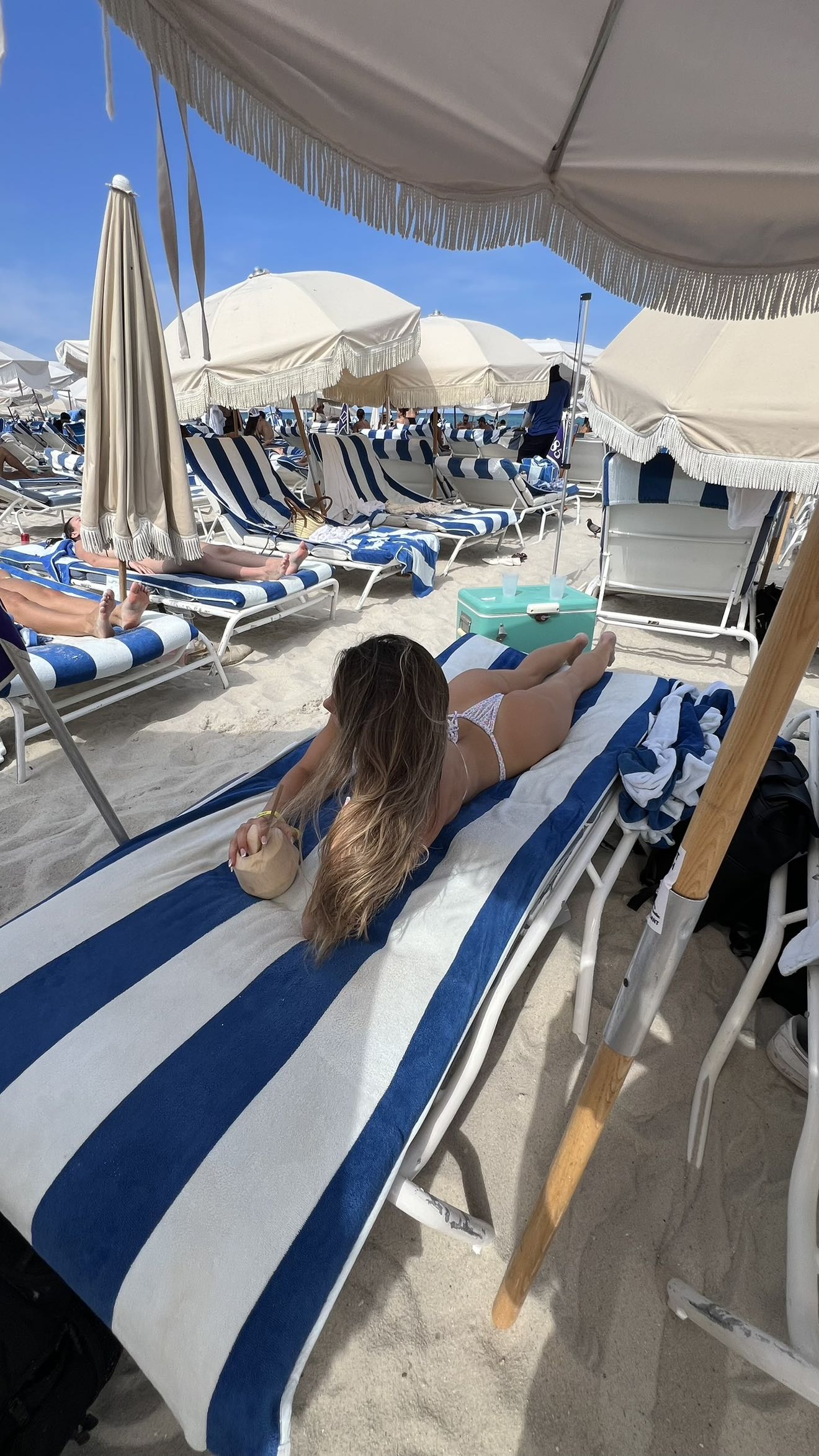 meelahrobbins snapchat image archive image