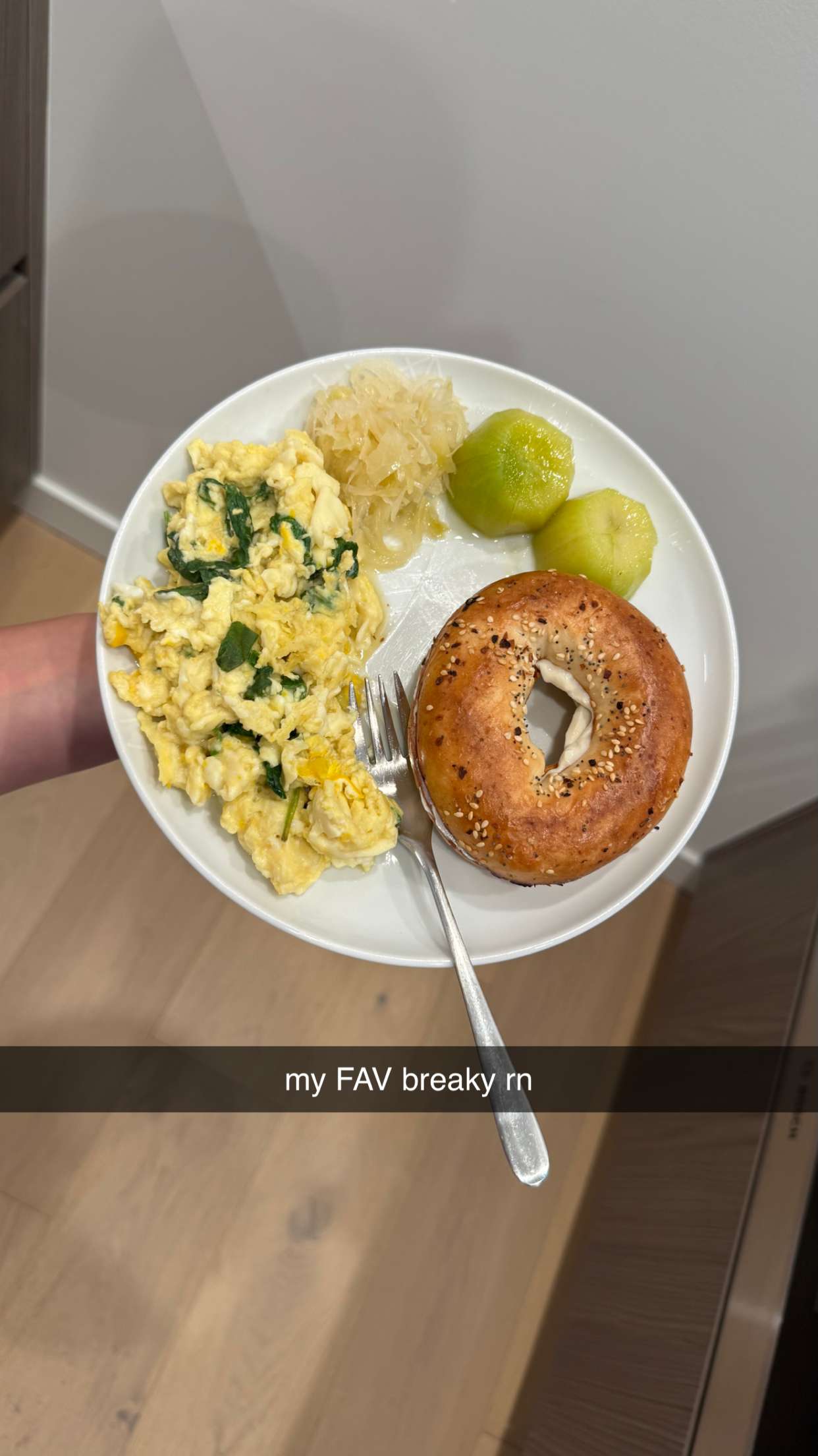 meelahrobbins snapchat image archive image