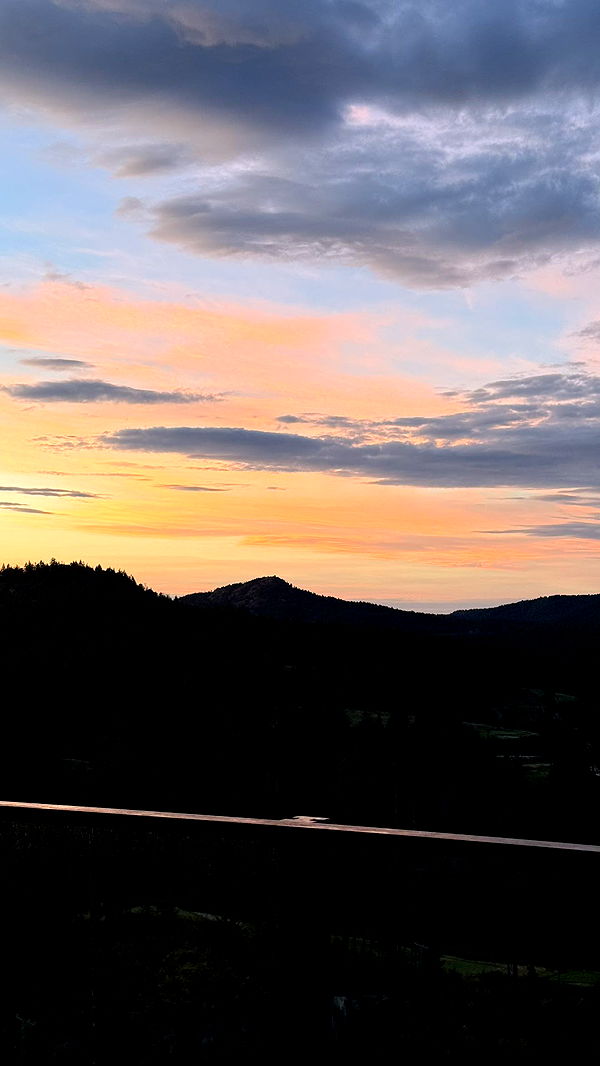 meelahrobbins image ~ Altpins