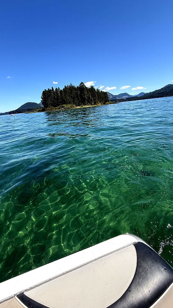 meelahrobbins image ~ Altpins