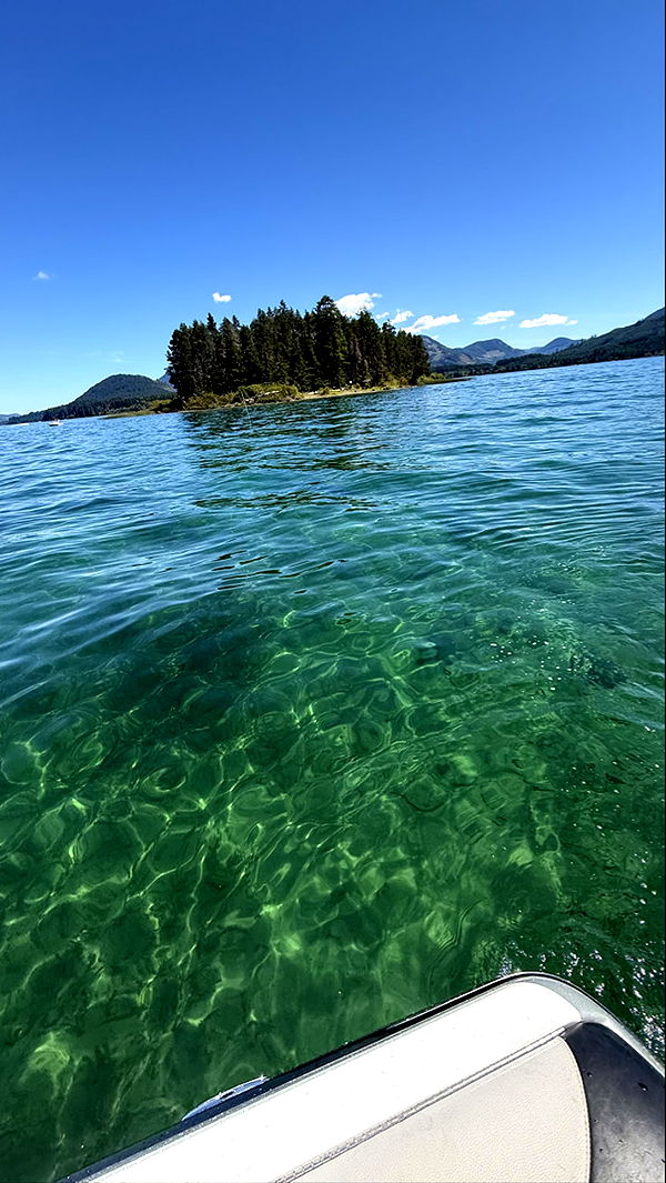 meelahrobbins image ~ Altpins