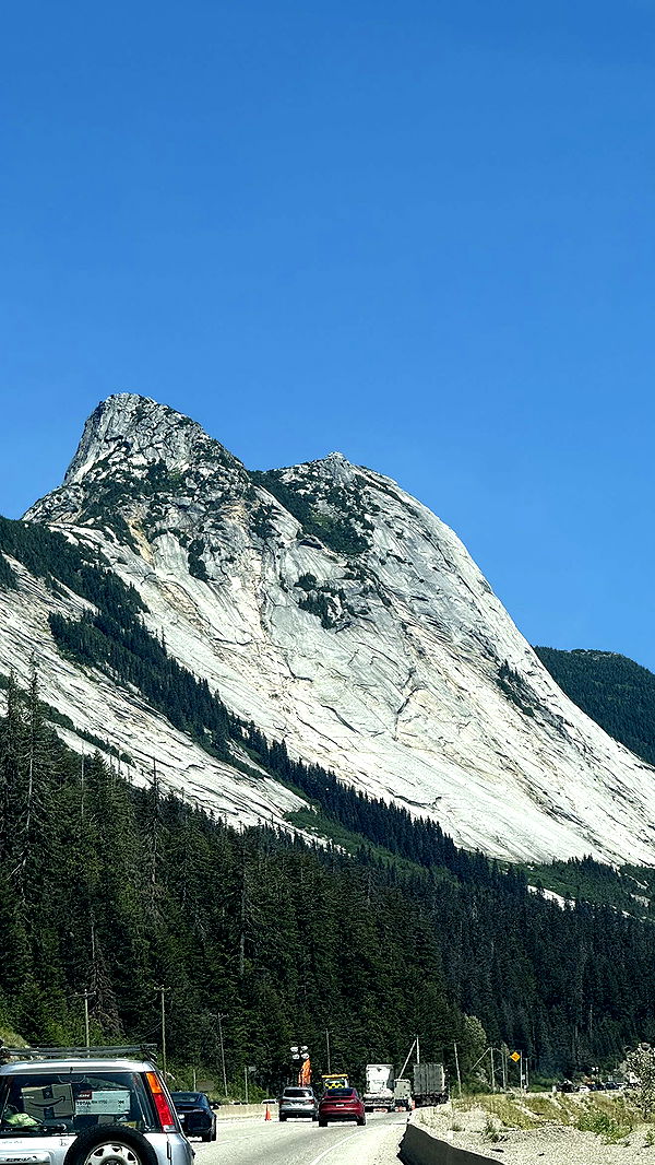 meelahrobbins image ~ Altpins