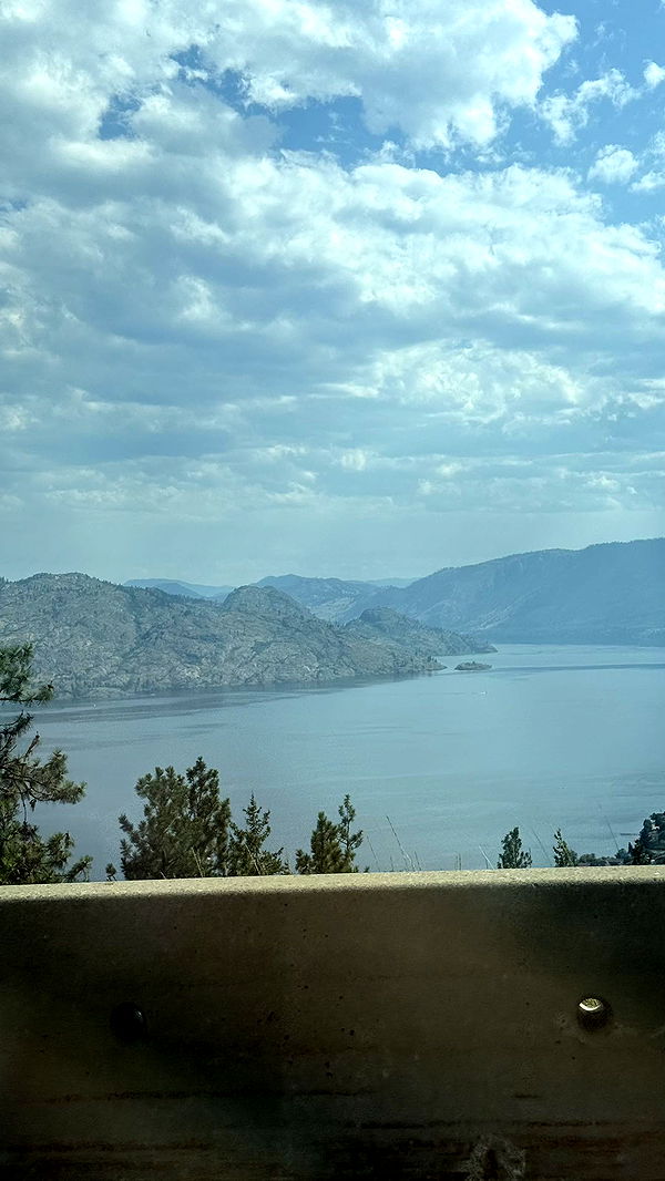 meelahrobbins image ~ Altpins