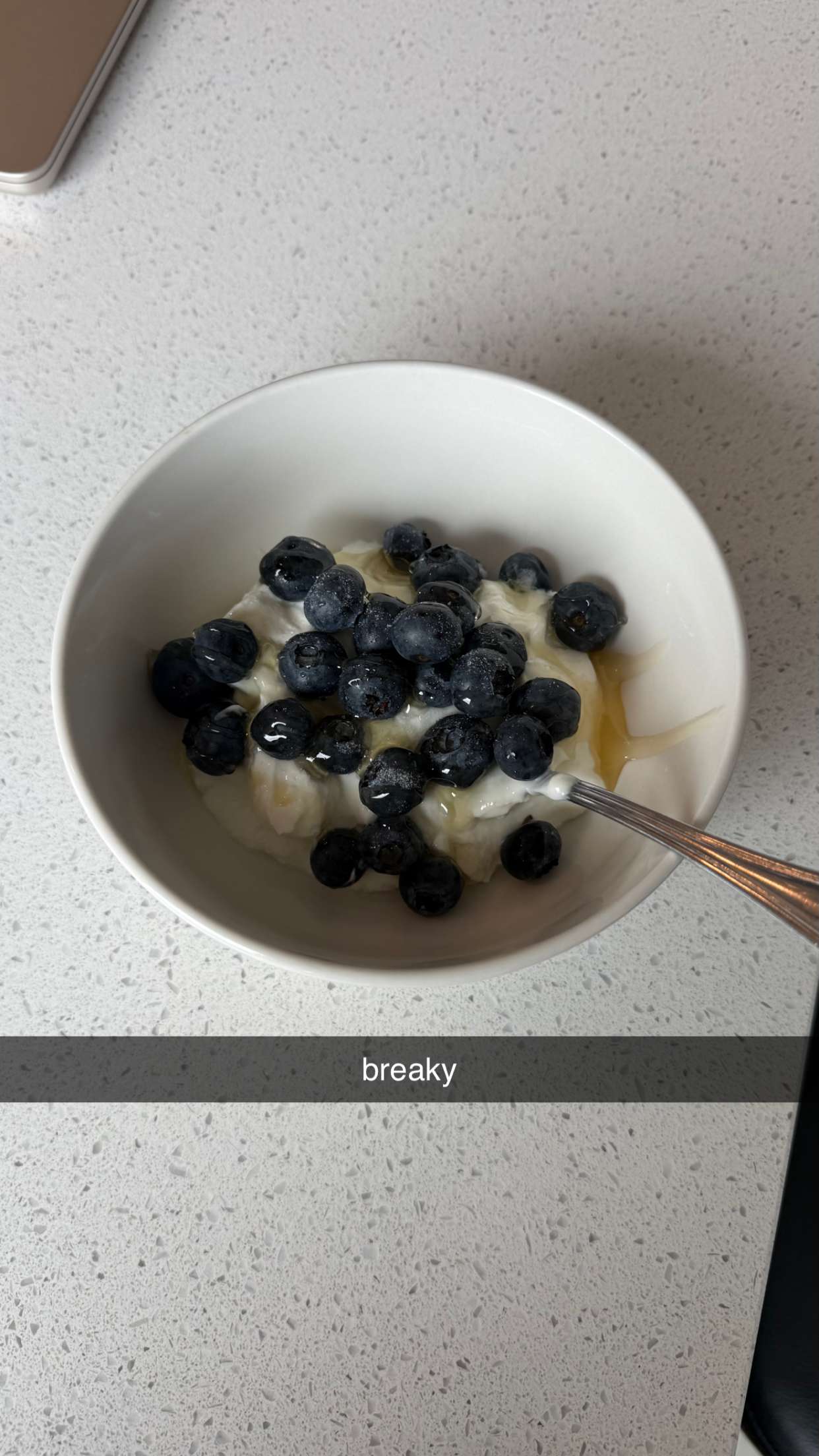 meelahrobbins snapchat image archive image