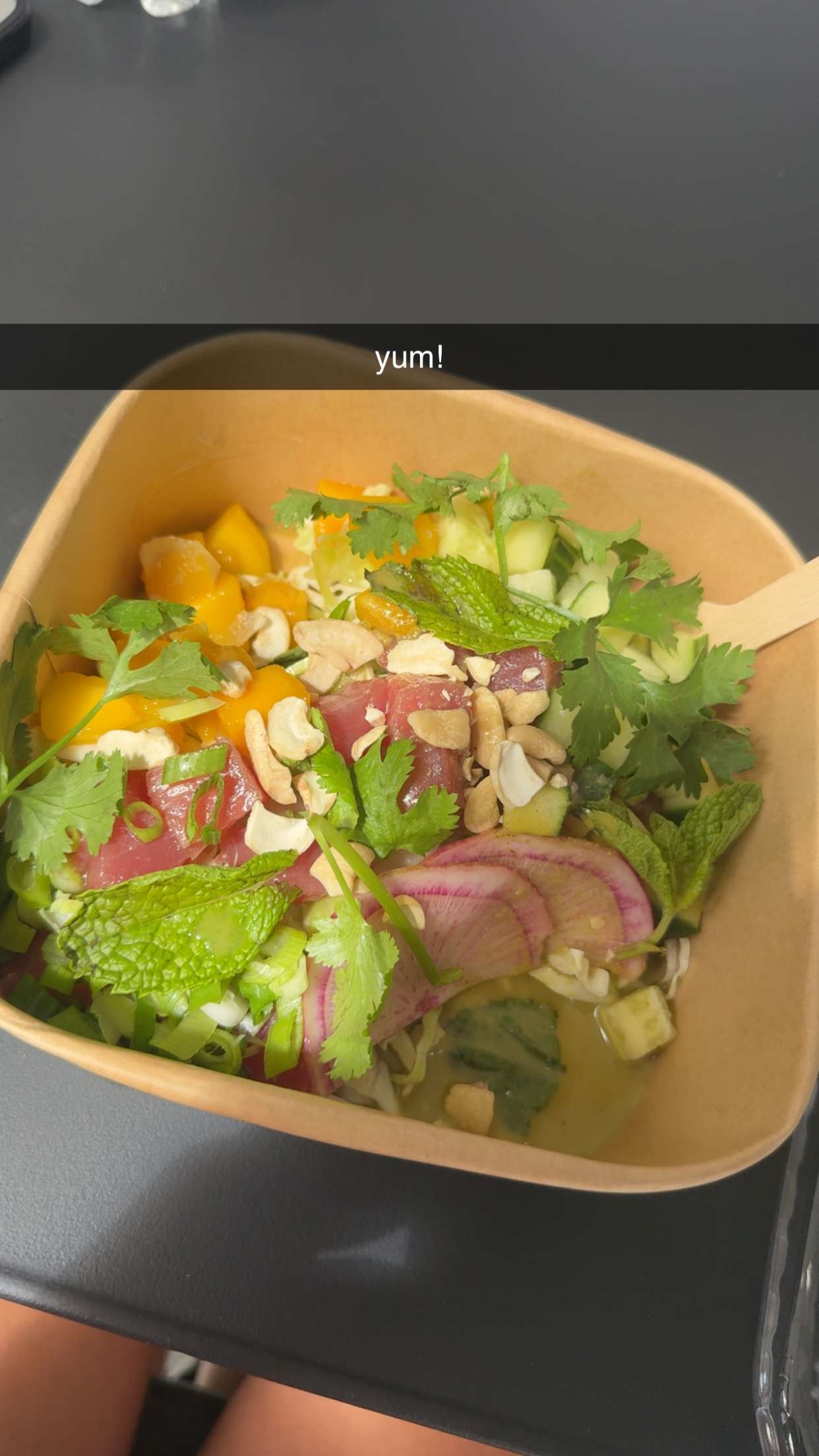 meelahrobbins snapchat image archive image