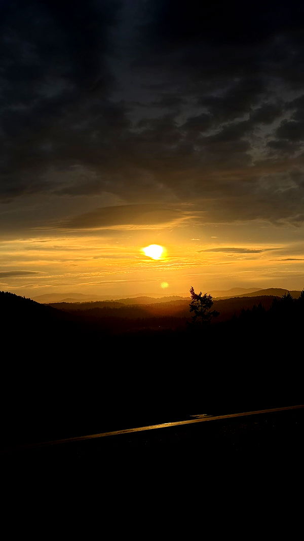 meelahrobbins image ~ Altpins