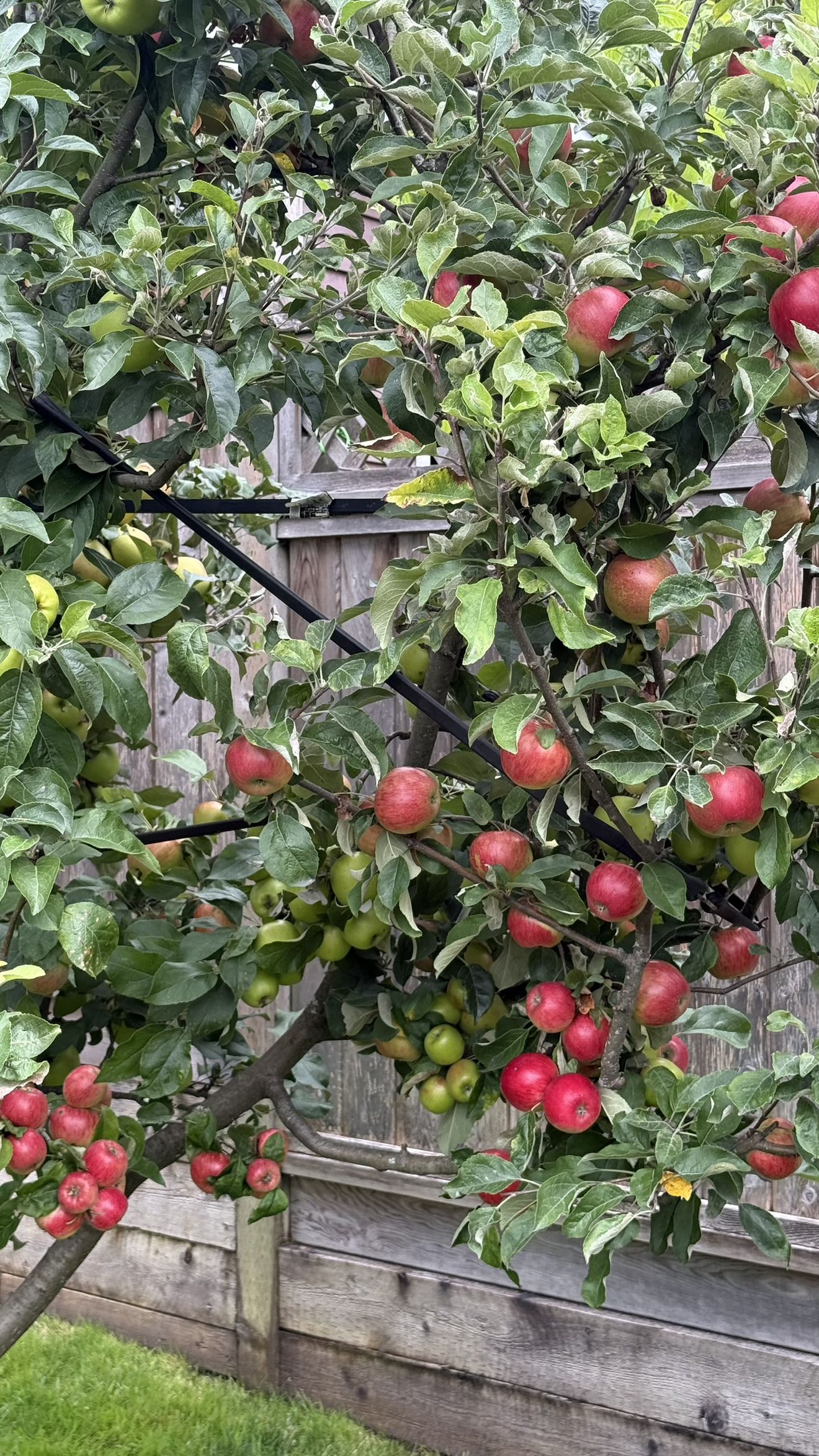 meelahrobbins snapchat image archive image