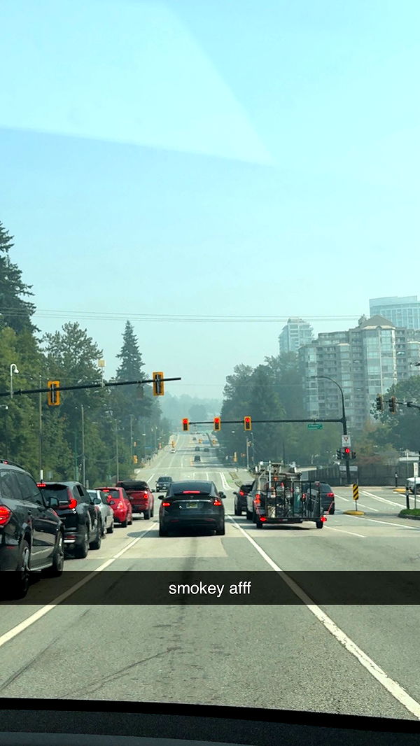 meelahrobbins image ~ Altpins