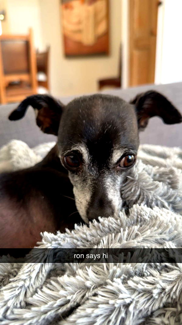 meelahrobbins image ~ Altpins