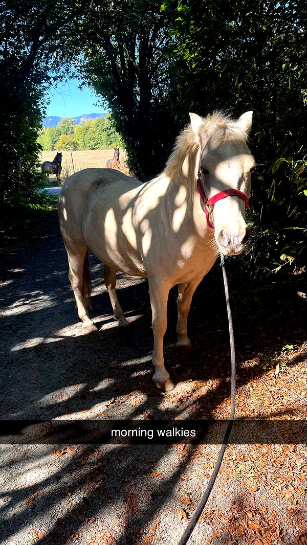 meelahrobbins image ~ Altpins