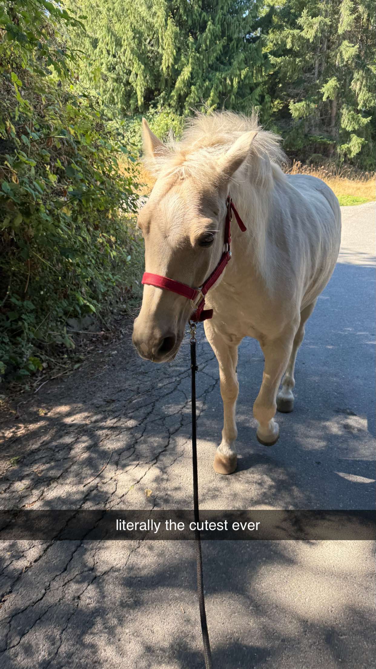 meelahrobbins snapchat image archive image