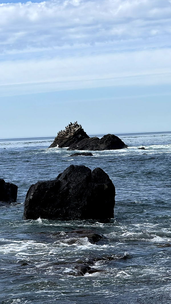 meelahrobbins image ~ Altpins