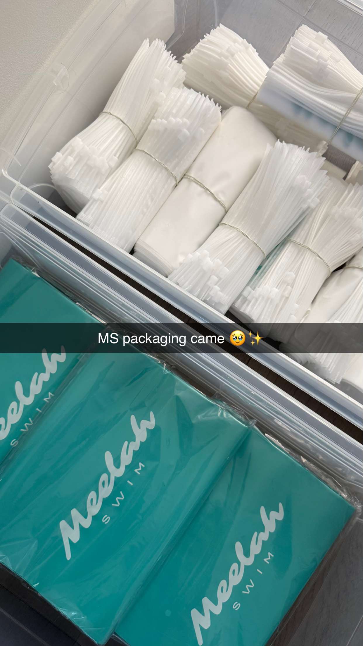 meelahrobbins snapchat image archive image