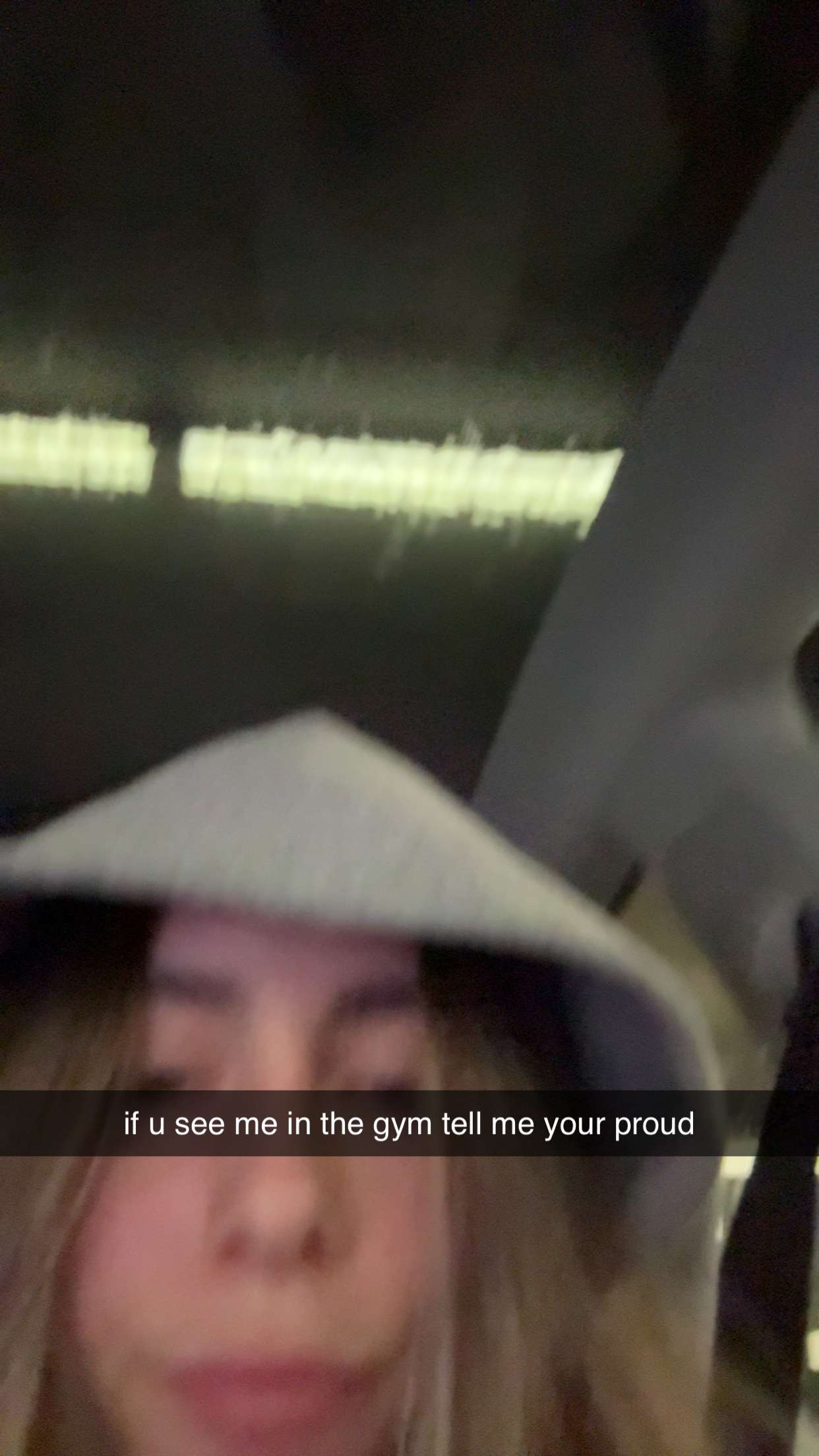 meelahrobbins snapchat image archive image