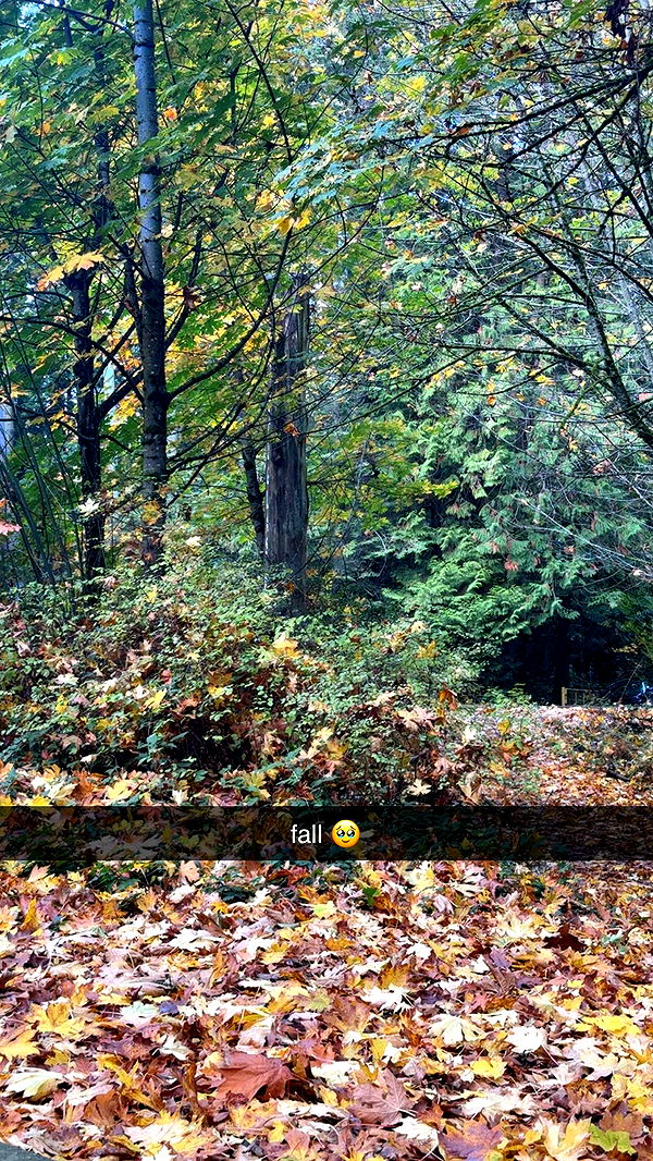 meelahrobbins image ~ Altpins