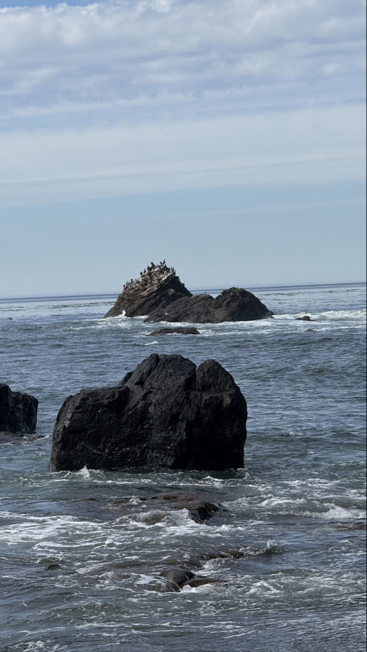 meelahrobbins snapchat image archive image