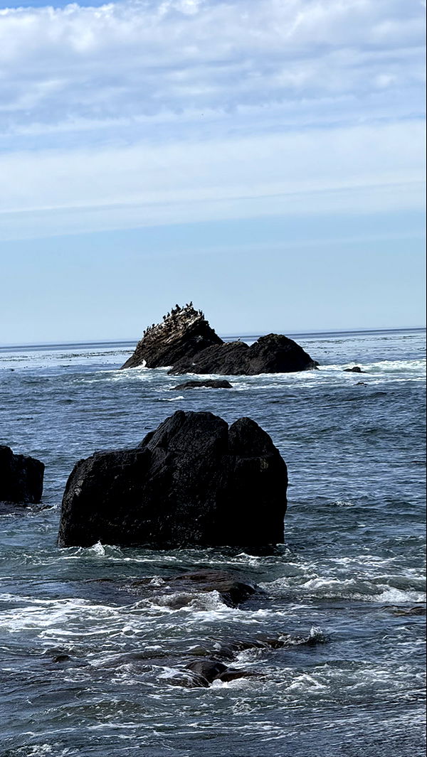 meelahrobbins image ~ Altpins